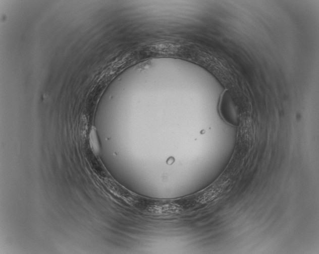 X0000067390752200604211633