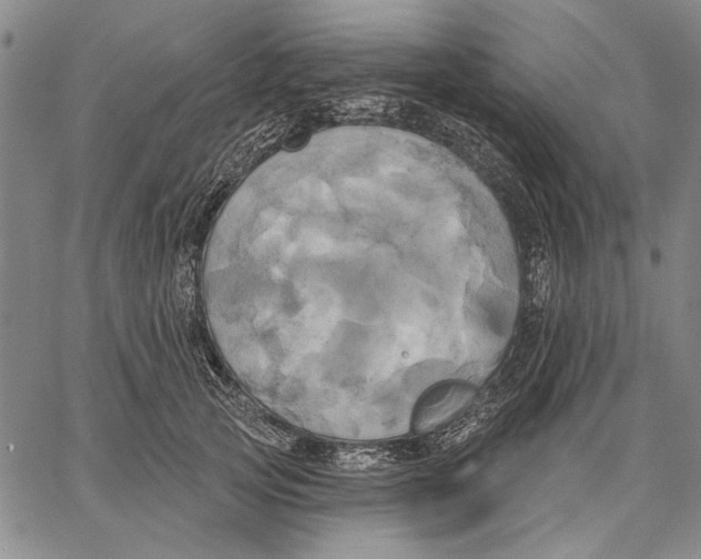 X0000067390753200604211633