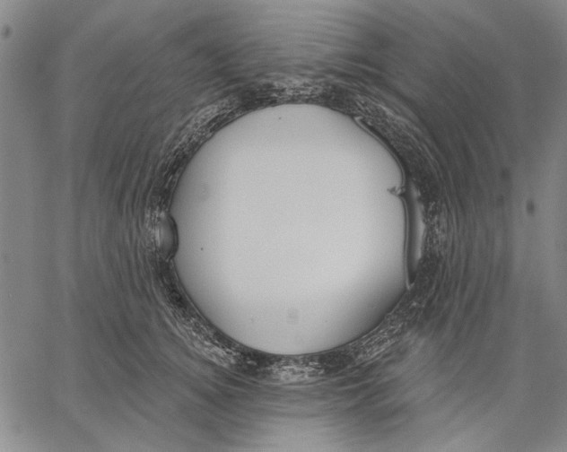 X0000067390756200604211633