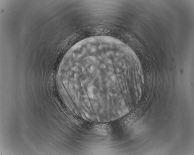 X0000067390757200604211633