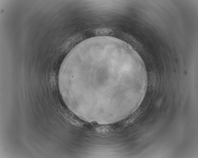 X0000067390761200604211633