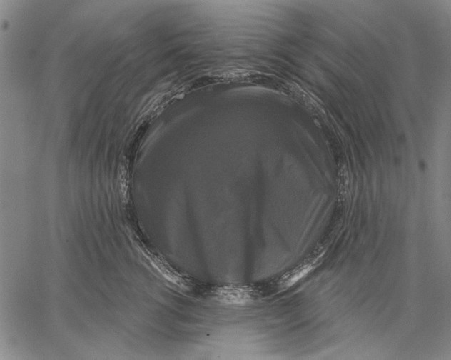 X0000067390762200604211633