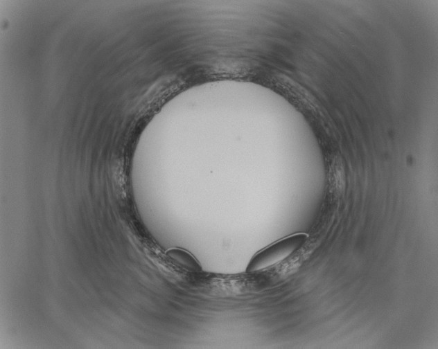 X0000067390764200604211633