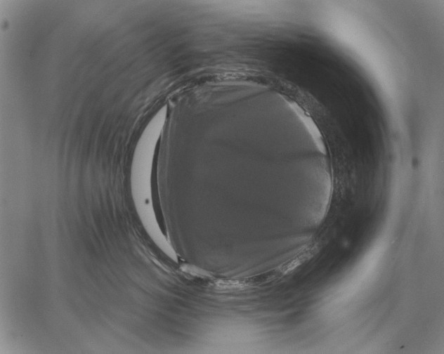 X0000067390766200604211633