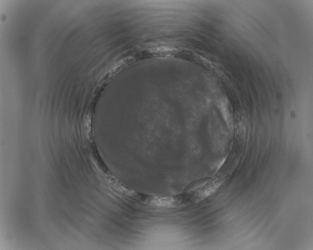 X0000067390767200604211633