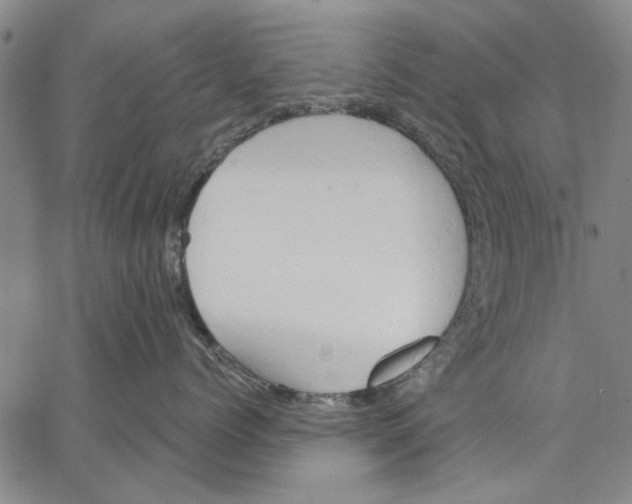 X0000067390768200604211633