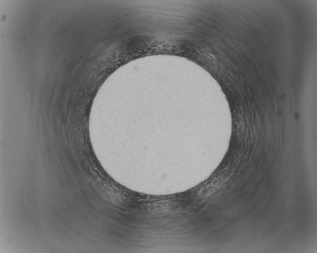 X0000067390769200604211632