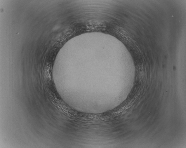 X0000067390770200604211632