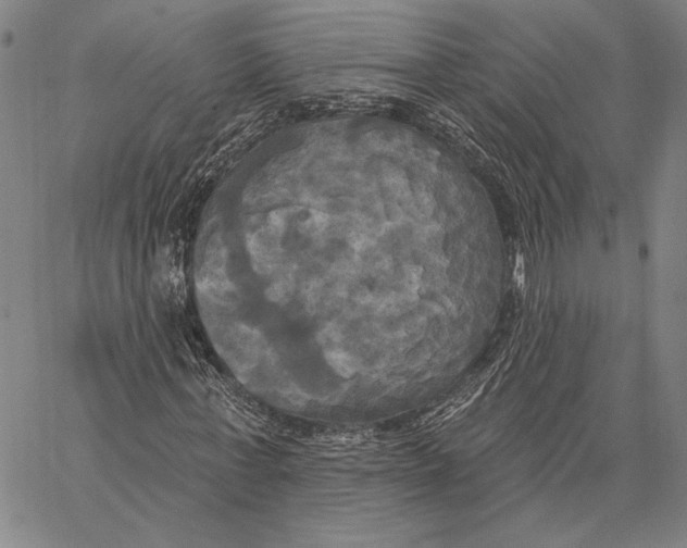 X0000067390771200604211632