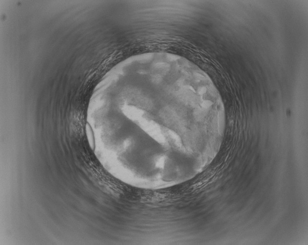 X0000067390772200604211632