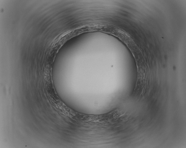 X0000067390773200604211632