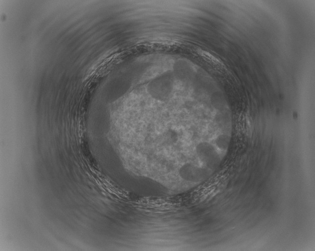 X0000067390774200604211632