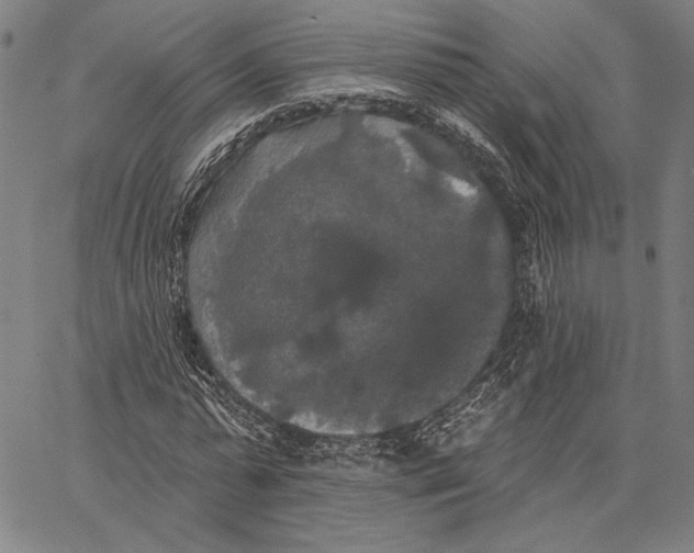 X0000067390775200604211632