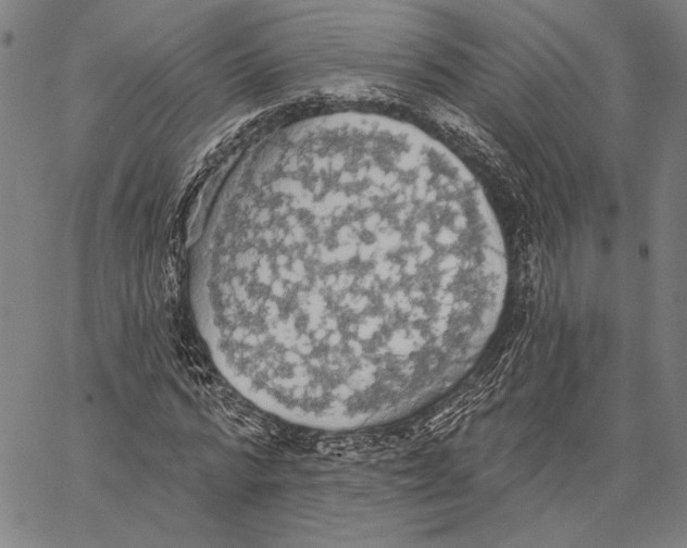 X0000067390776200604211632