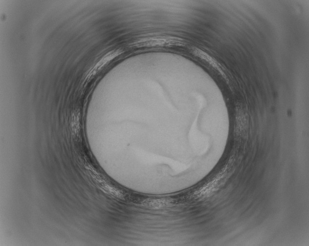 X0000067390778200604211632