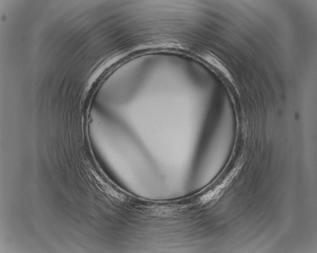 X0000067390781200604211632