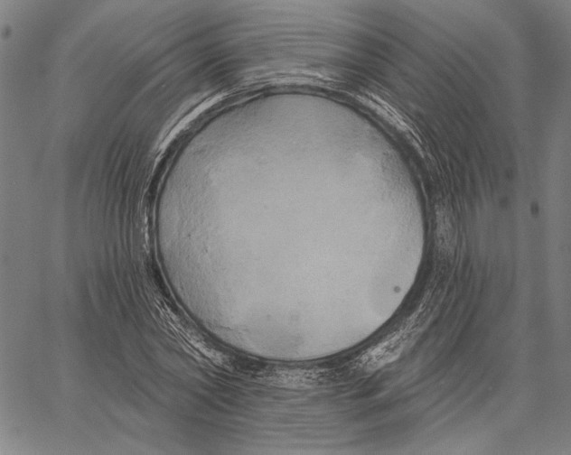 X0000067390782200604211632