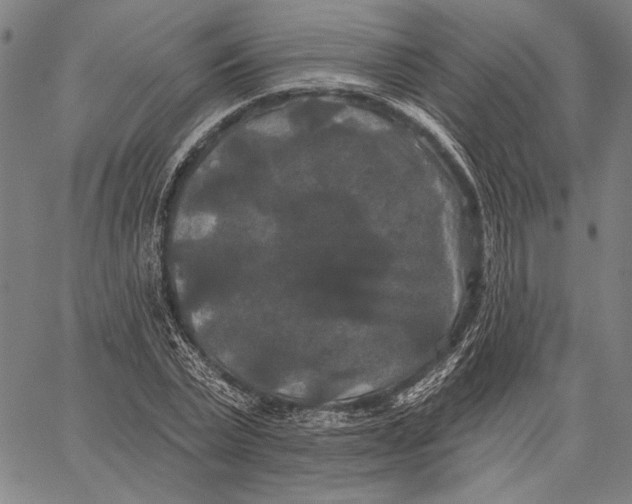 X0000067390783200604211632