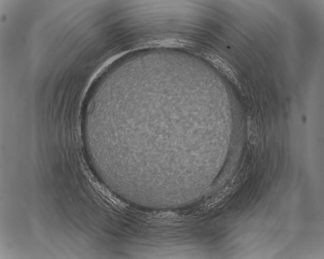 X0000067390784200604211632