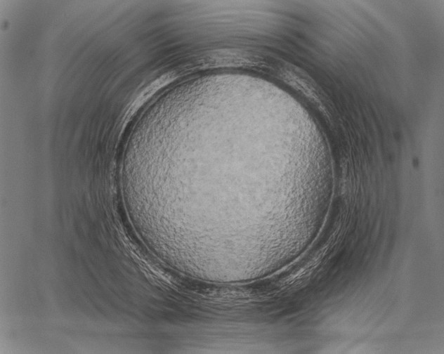 X0000067390786200604211632