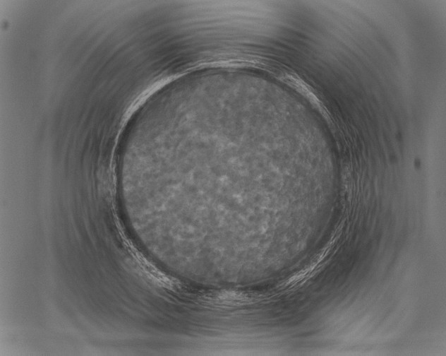 X0000067390787200604211632