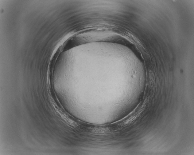 X0000067390788200604211632