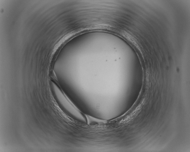 X0000067390789200604211632