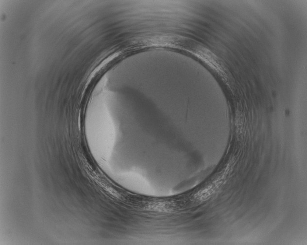 X0000067390790200604211632