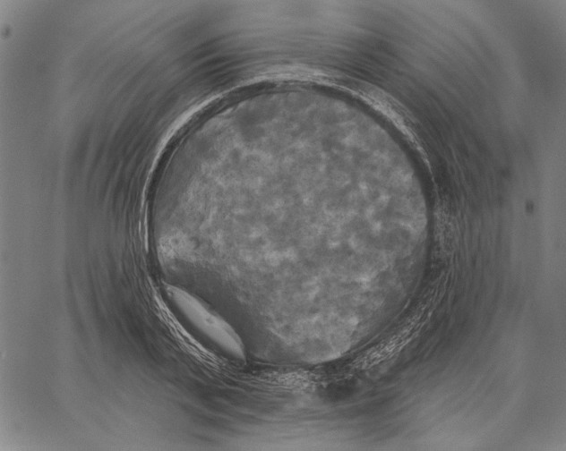 X0000067390791200604211632