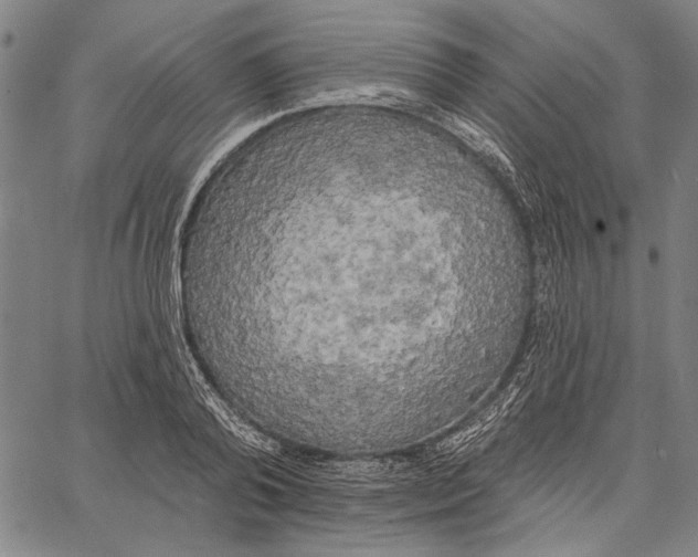 X0000067390792200604211632