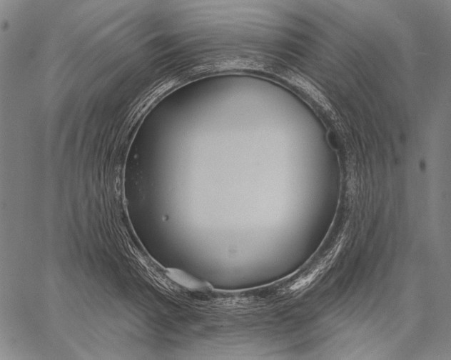 X0000067390793200604211632