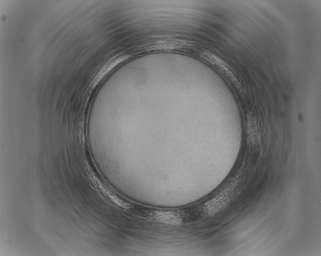 X0000067390794200604211632