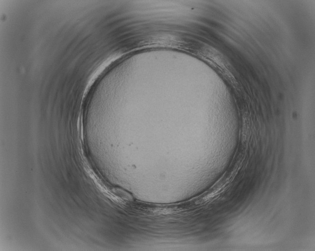 X0000067390796200604211632