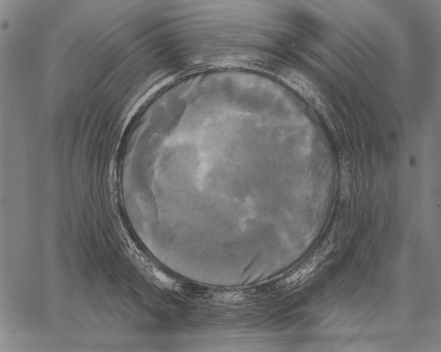 X0000067390798200604211632