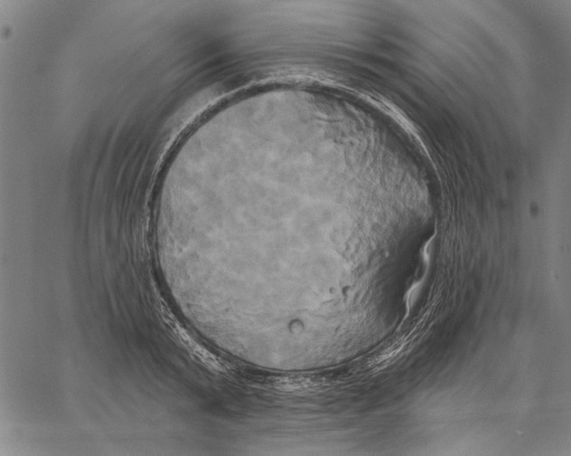 X0000067390799200604211632