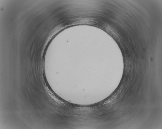 X0000067390800200604211632