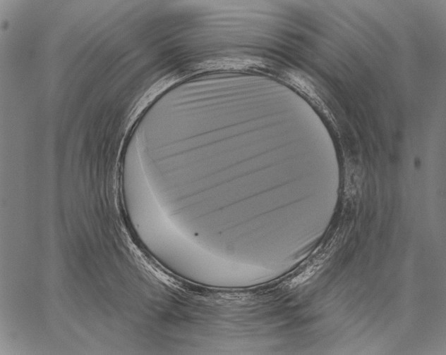 X0000067390802200604211632