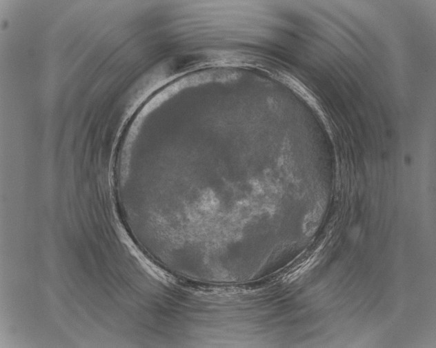 X0000067390803200604211632