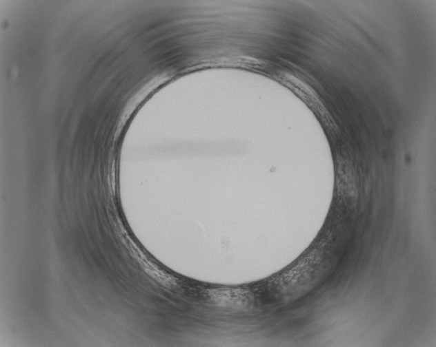 X0000067390804200604211632