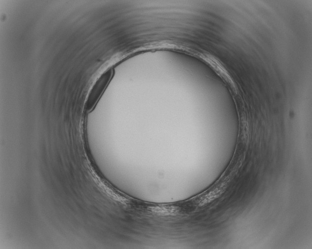 X0000067390805200604211632