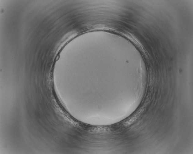 X0000067390806200604211632