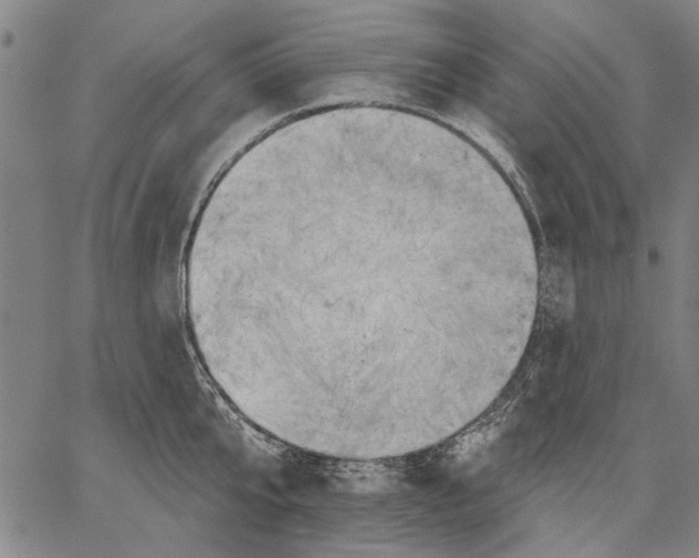 X0000067390807200604211632