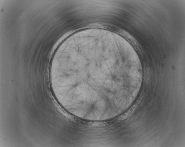 X0000067390808200604211632