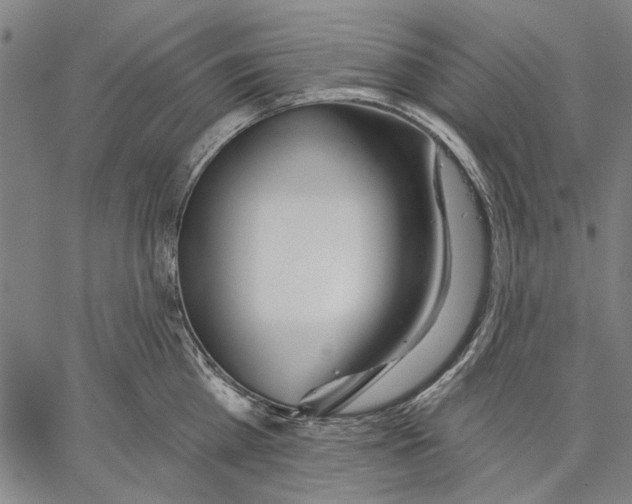 X0000067390809200604211632