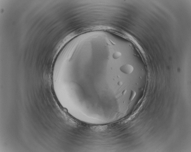 X0000067390810200604211632