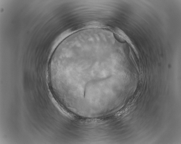 X0000067390811200604211632