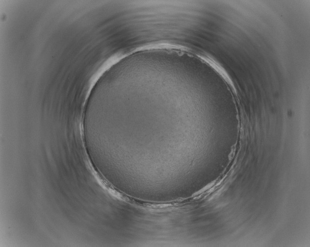 X0000067390813200604211632