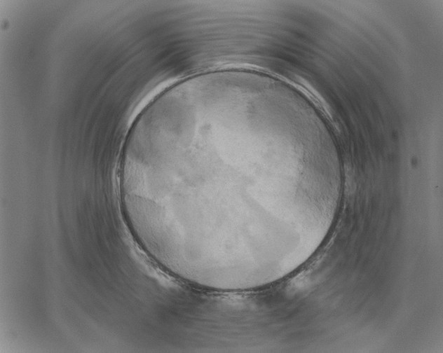 X0000067390814200604211632