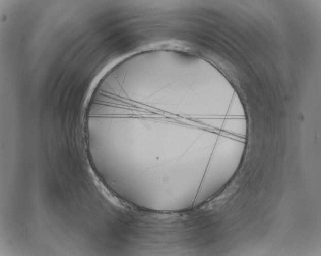 X0000067390816200604211632