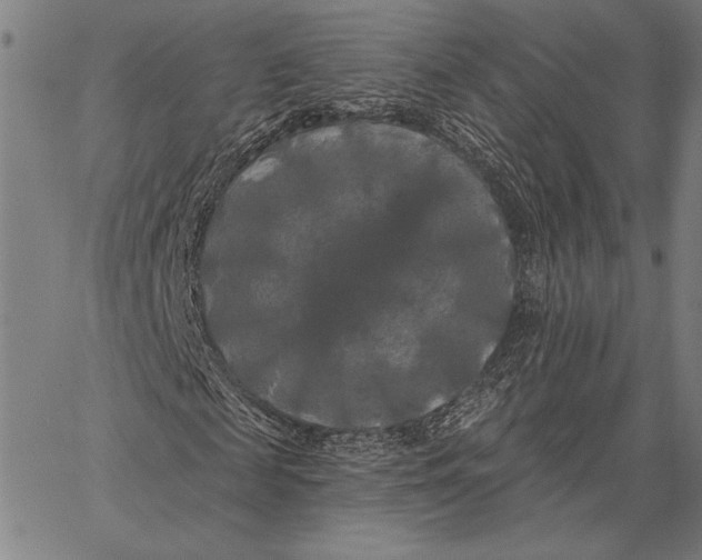 X0000067390817200604211631